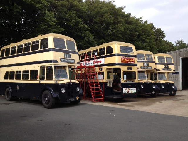 BCT's best - basking in the sun